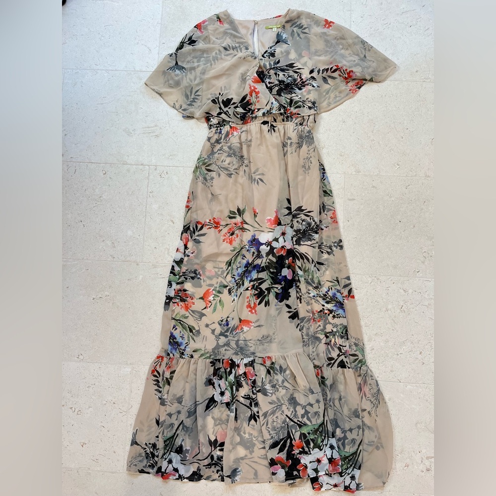 Gianni Bini Floral Maxi Dress